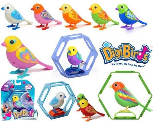 DigiBirds Ptaszek z ramką