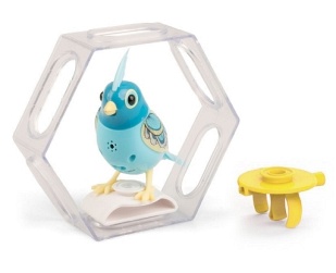 DigiBirds Ptaszek z ramką